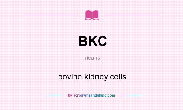 What does BKC mean? It stands for bovine kidney cells