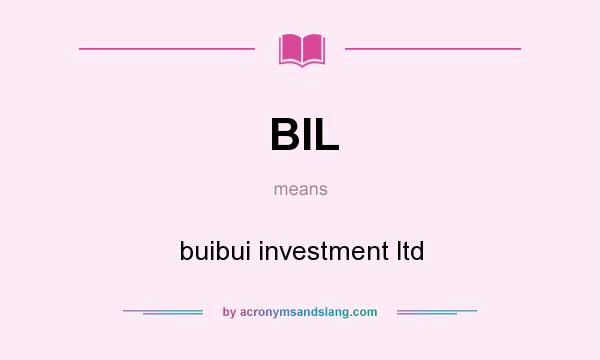 What does BIL mean? It stands for buibui investment ltd