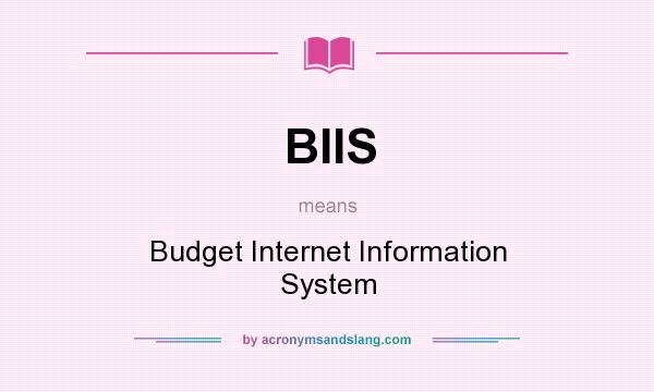 What does BIIS mean? It stands for Budget Internet Information System