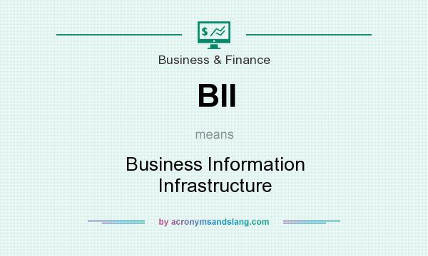 What does BII mean? It stands for Business Information Infrastructure