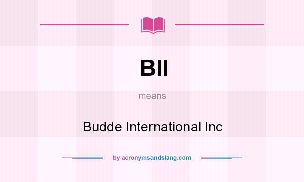 What does BII mean? It stands for Budde International Inc