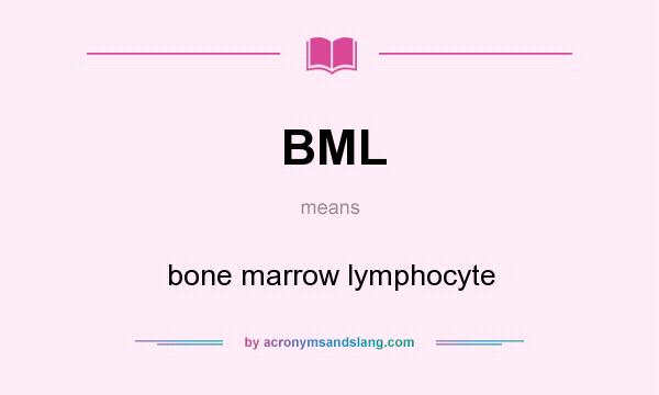 What does BML mean? It stands for bone marrow lymphocyte