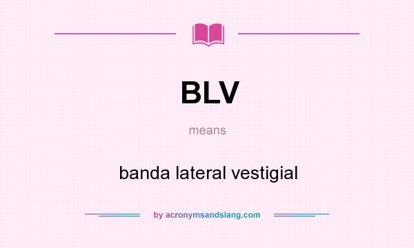 What does BLV mean? It stands for banda lateral vestigial
