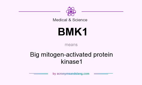 What does BMK1 mean? It stands for Big mitogen-activated protein kinase1