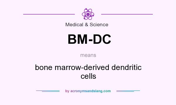 What does BM-DC mean? It stands for bone marrow-derived dendritic cells