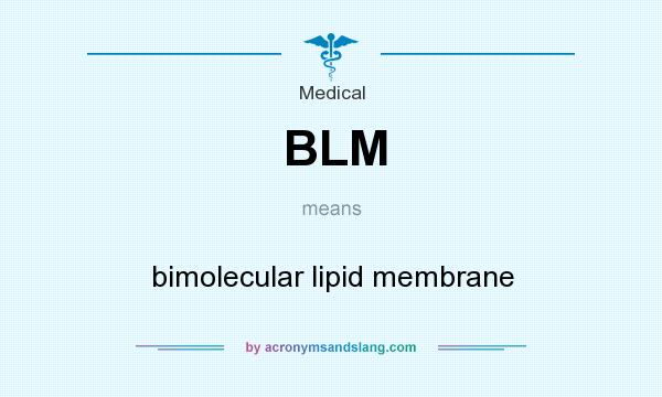 What does BLM mean? It stands for bimolecular lipid membrane