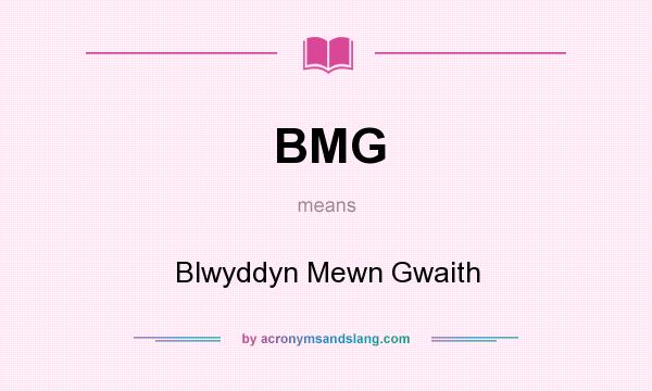 What does BMG mean? It stands for Blwyddyn Mewn Gwaith