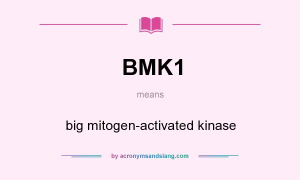 What does BMK1 mean? It stands for big mitogen-activated kinase