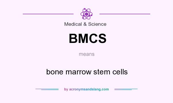 What does BMCS mean? It stands for bone marrow stem cells