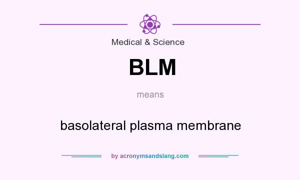 What does BLM mean? It stands for basolateral plasma membrane