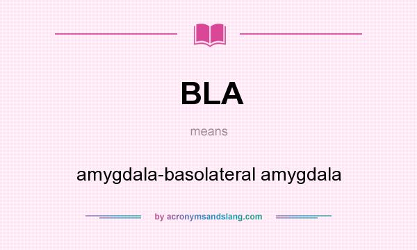 What does BLA mean? It stands for amygdala-basolateral amygdala