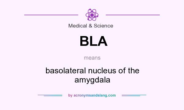 What does BLA mean? It stands for basolateral nucleus of the amygdala