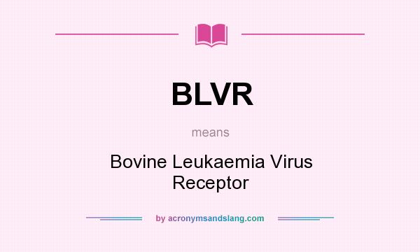 What does BLVR mean? It stands for Bovine Leukaemia Virus Receptor