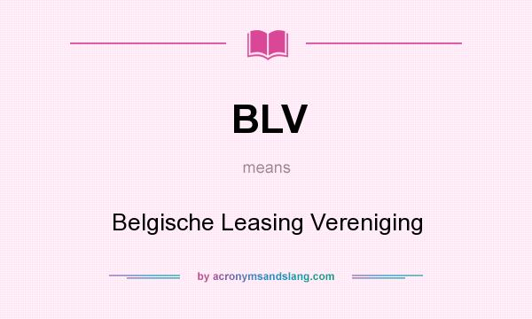 What does BLV mean? It stands for Belgische Leasing Vereniging