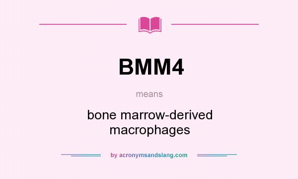 What does BMM4 mean? It stands for bone marrow-derived macrophages
