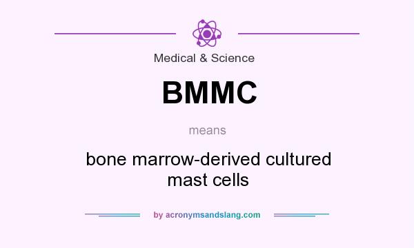 What does BMMC mean? It stands for bone marrow-derived cultured mast cells