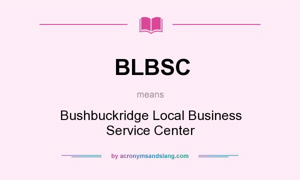 What does BLBSC mean? It stands for Bushbuckridge Local Business Service Center