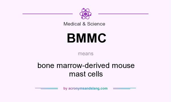 What does BMMC mean? It stands for bone marrow-derived mouse mast cells