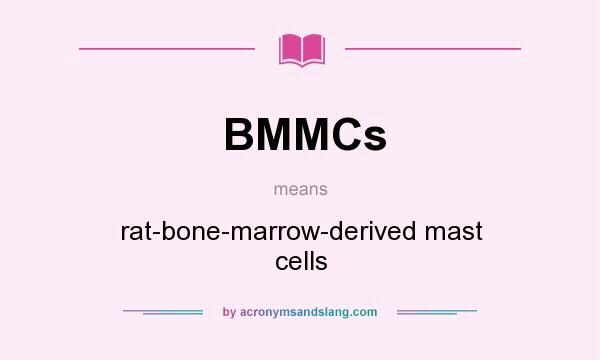 What does BMMCs mean? It stands for rat-bone-marrow-derived mast cells