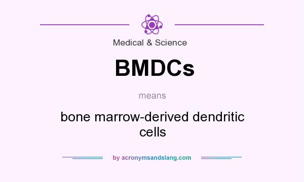 What does BMDCs mean? It stands for bone marrow-derived dendritic cells