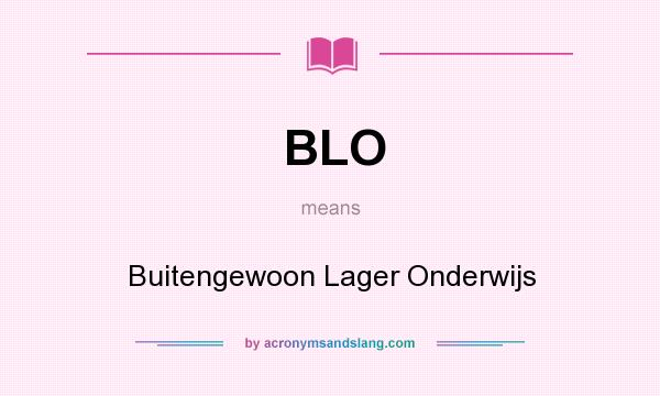 What does BLO mean? It stands for Buitengewoon Lager Onderwijs