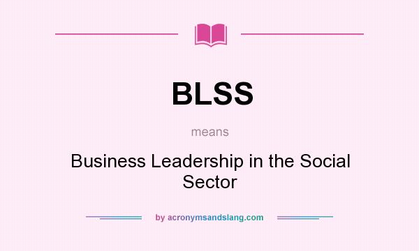 What does BLSS mean? It stands for Business Leadership in the Social Sector