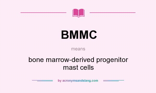 What does BMMC mean? It stands for bone marrow-derived progenitor mast cells