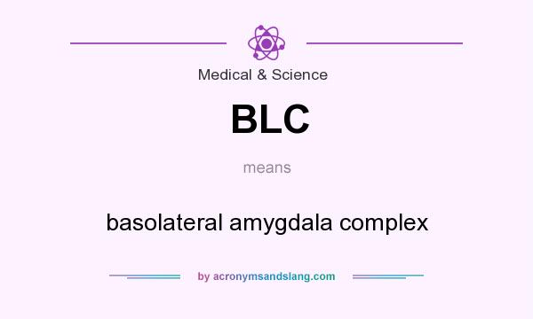 What does BLC mean? It stands for basolateral amygdala complex