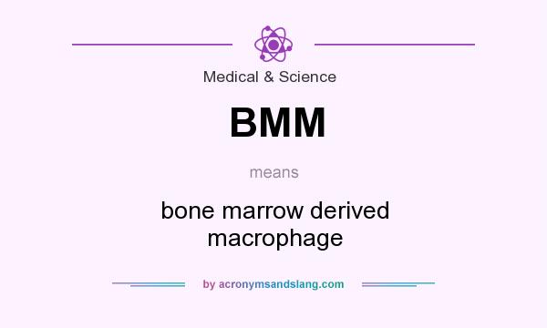 What does BMM mean? It stands for bone marrow derived macrophage