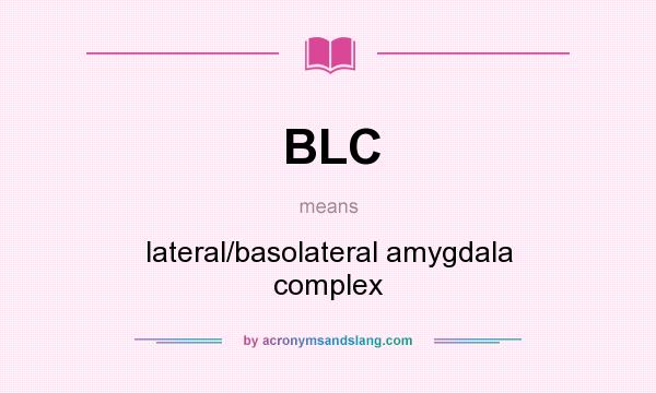What does BLC mean? It stands for lateral/basolateral amygdala complex