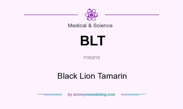 What does BLT mean? It stands for Black Lion Tamarin