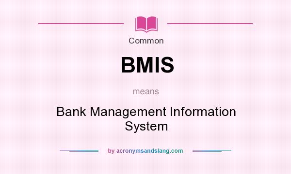 What does BMIS mean? It stands for Bank Management Information System