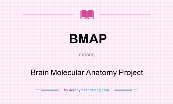 What does BMAP mean? It stands for Brain Molecular Anatomy Project