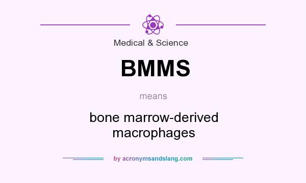 What does BMMS mean? It stands for bone marrow-derived macrophages