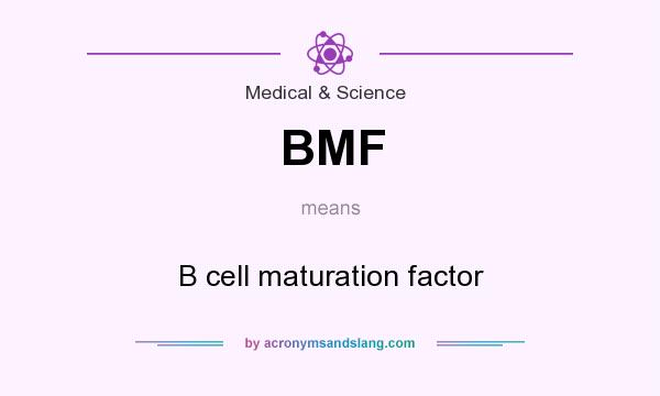 What does BMF mean? It stands for B cell maturation factor
