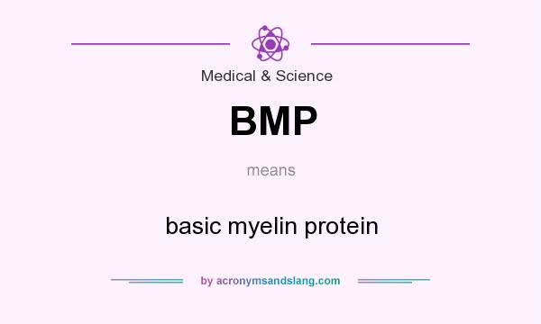 What does BMP mean? It stands for basic myelin protein