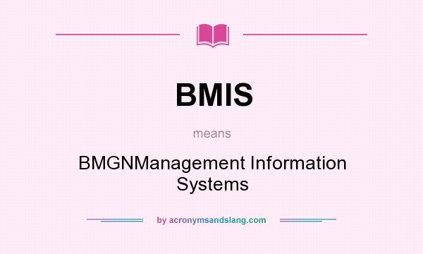 What does BMIS mean? It stands for BMGNManagement Information Systems