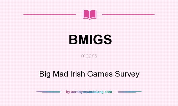 What does BMIGS mean? It stands for Big Mad Irish Games Survey