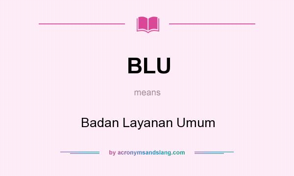 What does BLU mean? It stands for Badan Layanan Umum