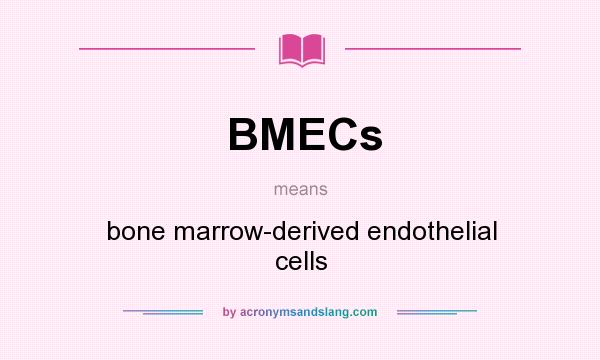 What does BMECs mean? It stands for bone marrow-derived endothelial cells