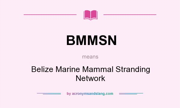 What does BMMSN mean? It stands for Belize Marine Mammal Stranding Network