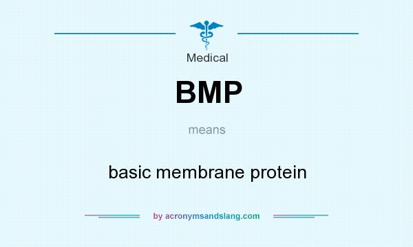 What does BMP mean? It stands for basic membrane protein