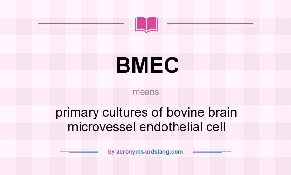 What does BMEC mean? It stands for primary cultures of bovine brain microvessel endothelial cell