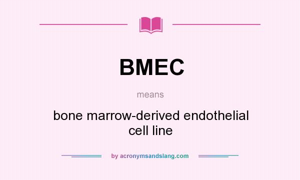 What does BMEC mean? It stands for bone marrow-derived endothelial cell line