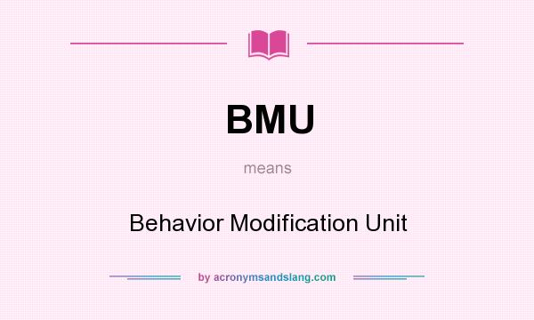 What does BMU mean? It stands for Behavior Modification Unit