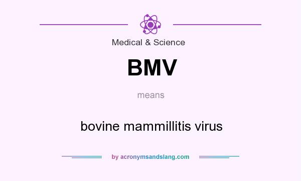 What does BMV mean? It stands for bovine mammillitis virus