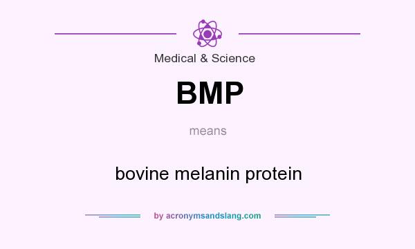 What does BMP mean? It stands for bovine melanin protein