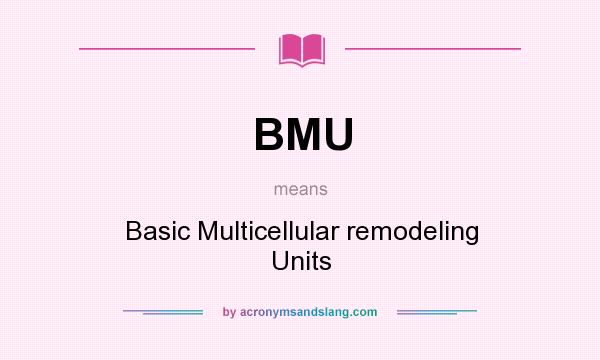 What does BMU mean? It stands for Basic Multicellular remodeling Units