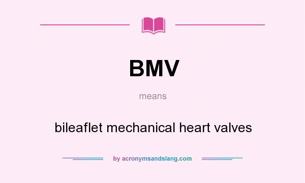 What does BMV mean? It stands for bileaflet mechanical heart valves