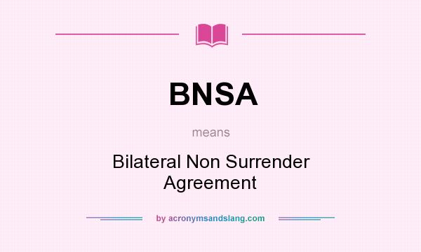 What does BNSA mean? It stands for Bilateral Non Surrender Agreement